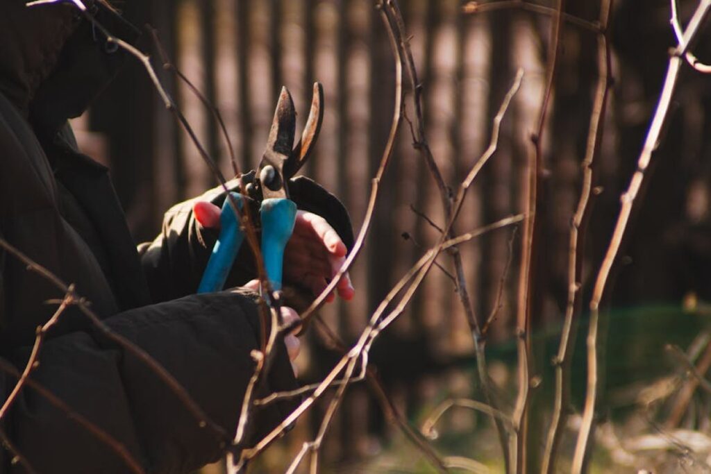 cordless hedge shears
