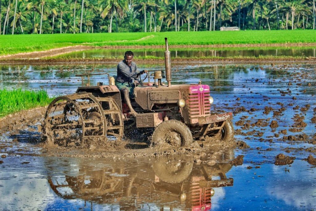 plough agricultural