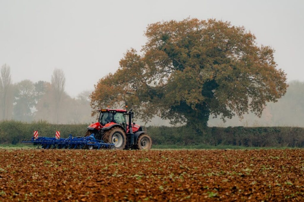 plough for sale