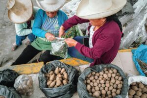 potato sale