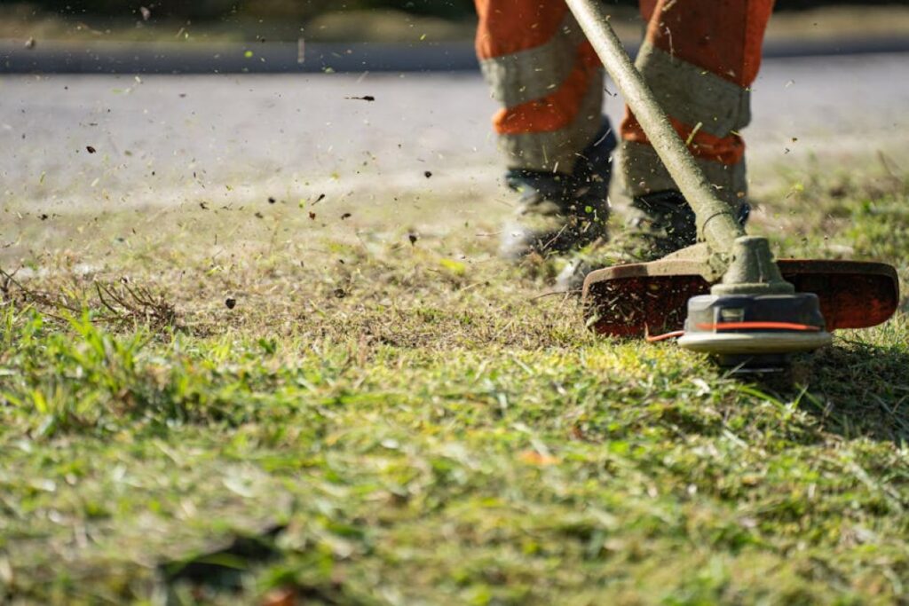 cordless grass trimmer