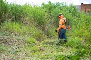 brush cutter