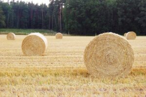 straw bales