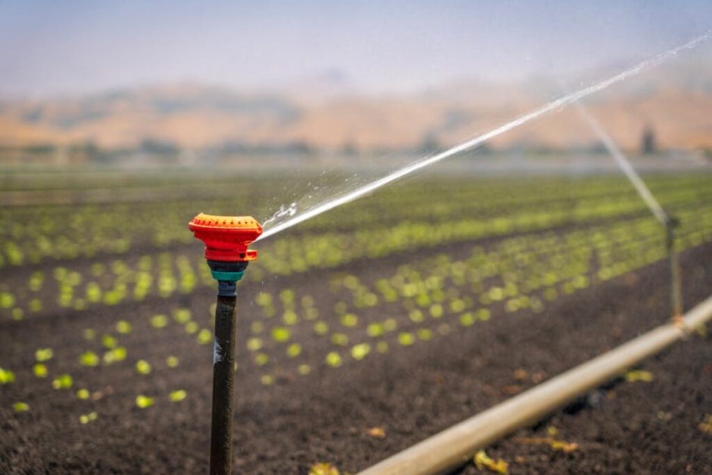 irrigation sprinkler