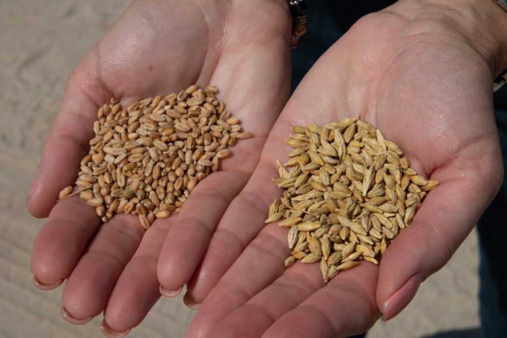 grain treater
