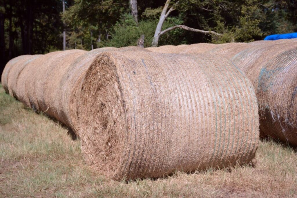 hay bales
