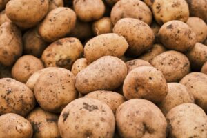 potato planter