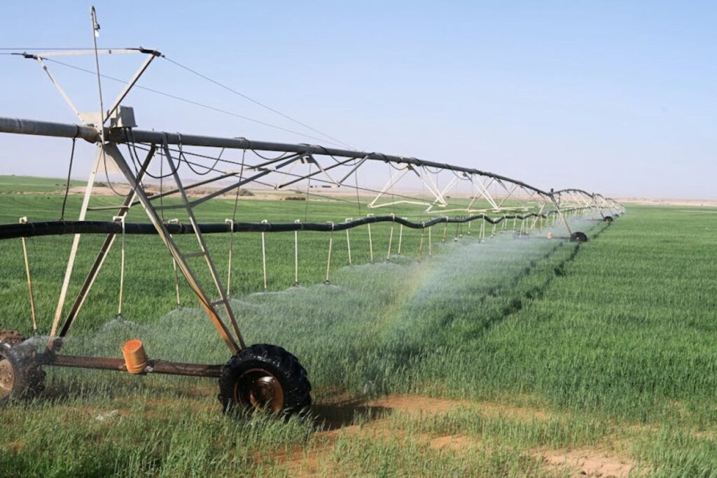 irrigation system