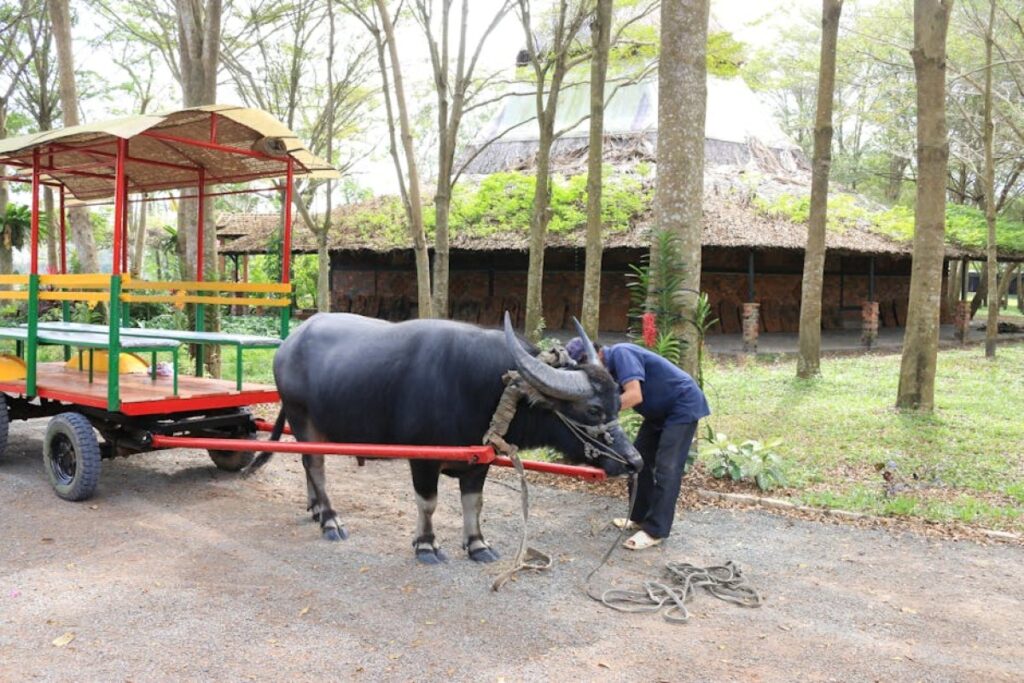 animal transport cart