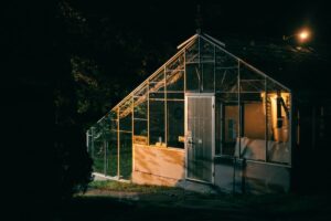 greenhouse garden structure