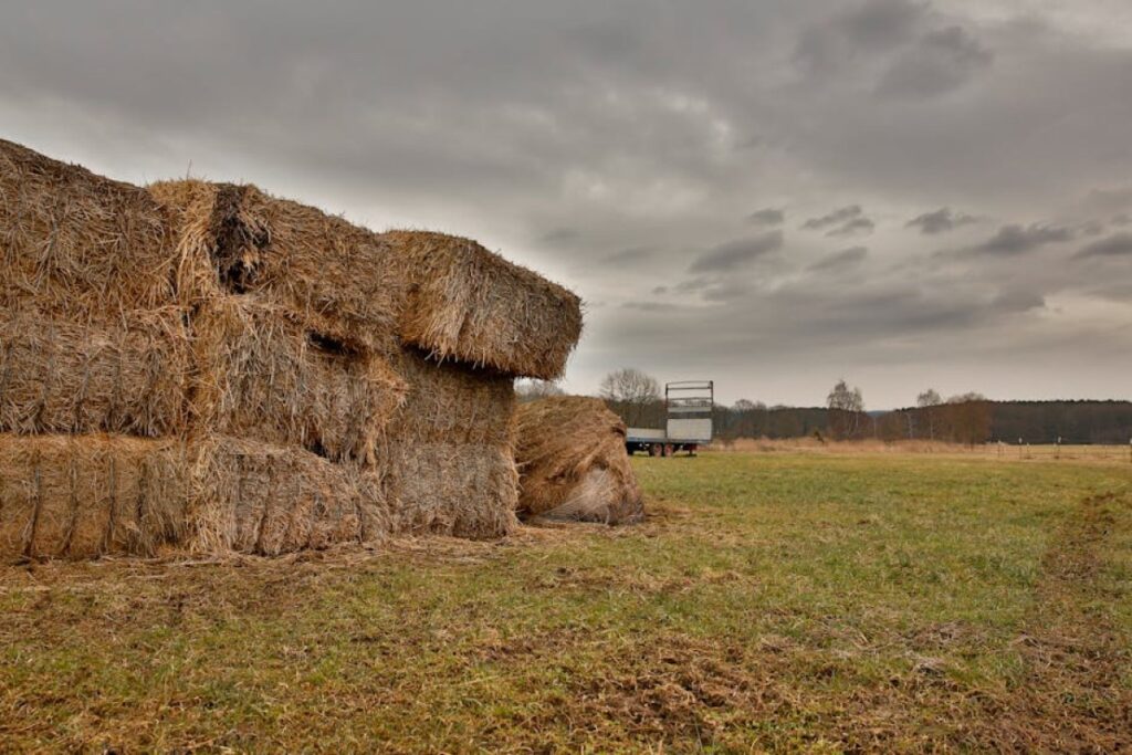 trailer agriculture straw