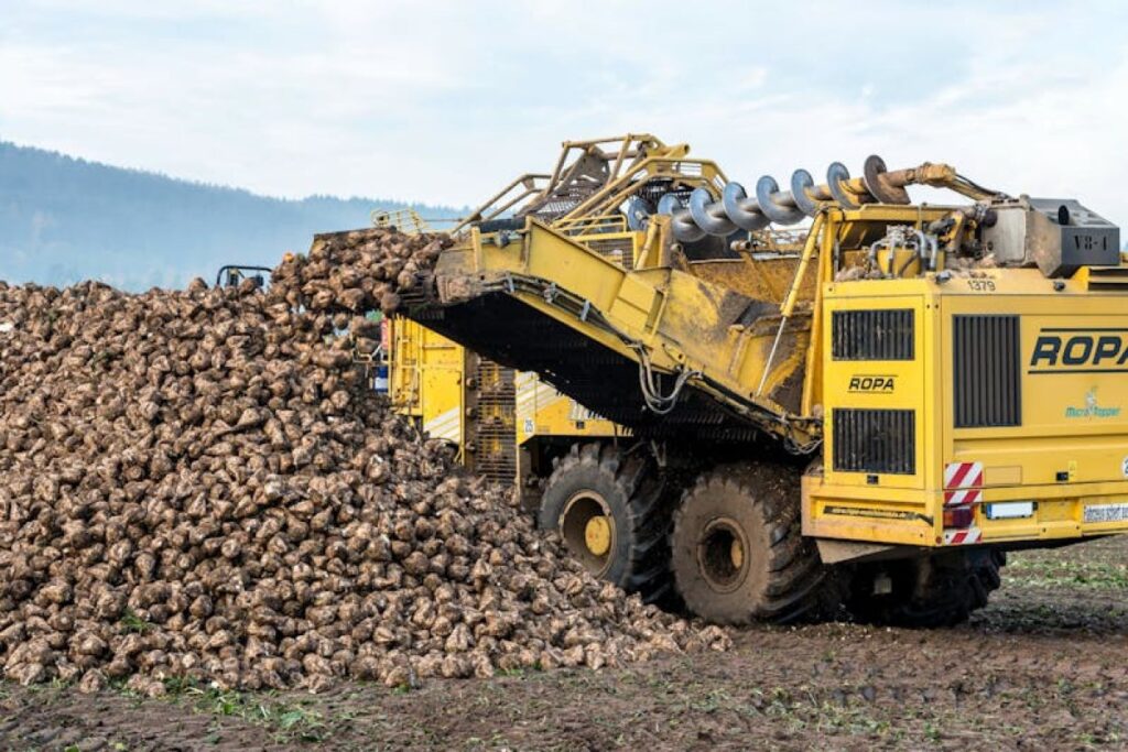 sugar beet pulp baled