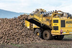 sugar beet pulp baled