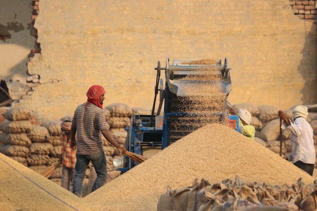 grain dryer