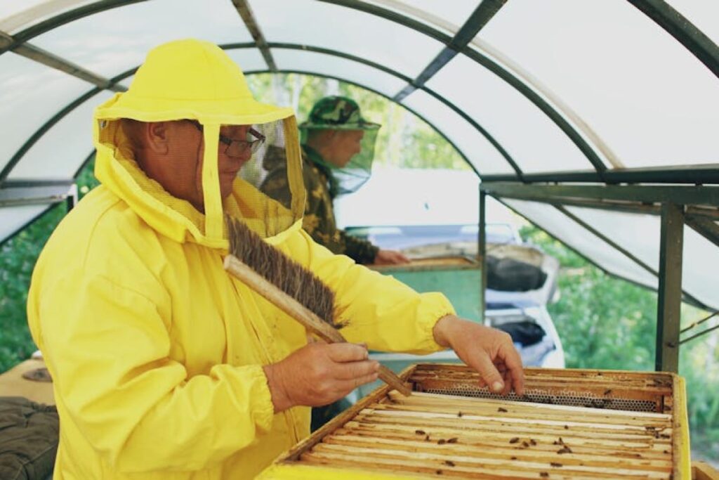 beekeeper honey harvest