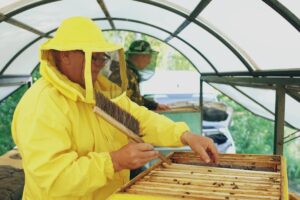 beekeeper honey harvest