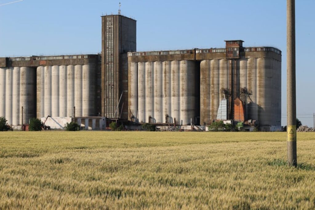 grain dryer Stela