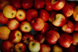 apple orchard Poland