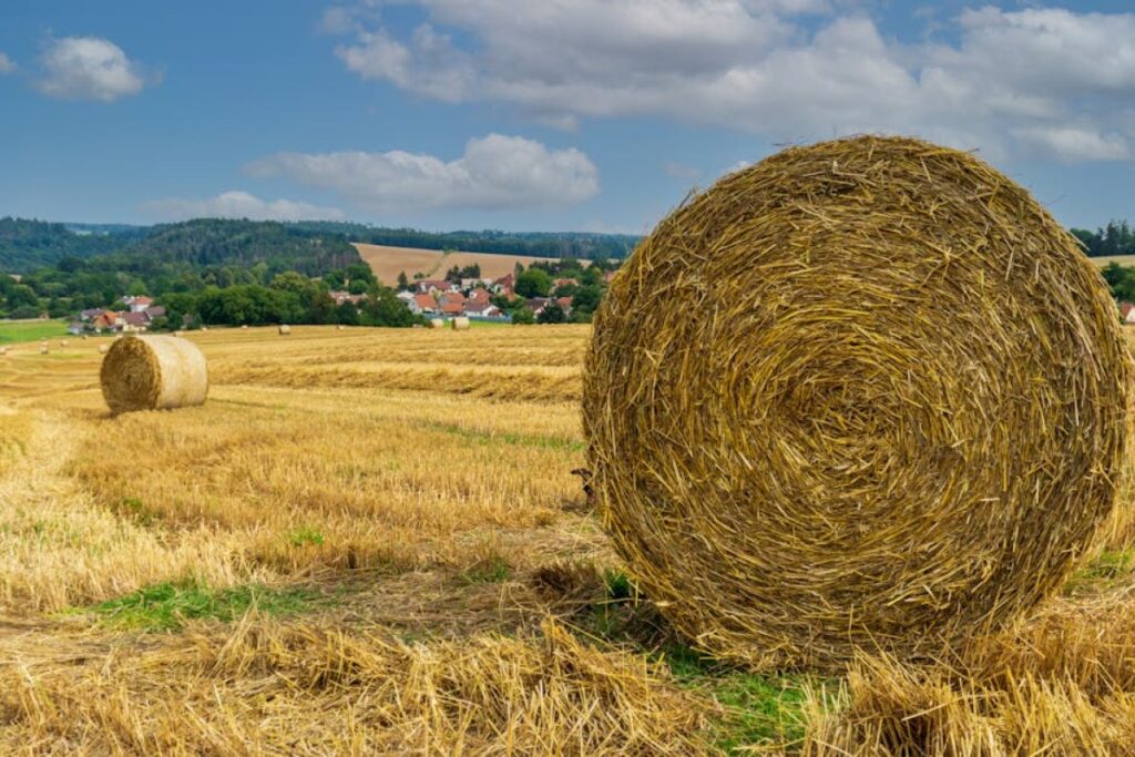 straw baling