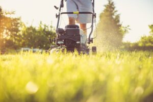 grass mower rotary