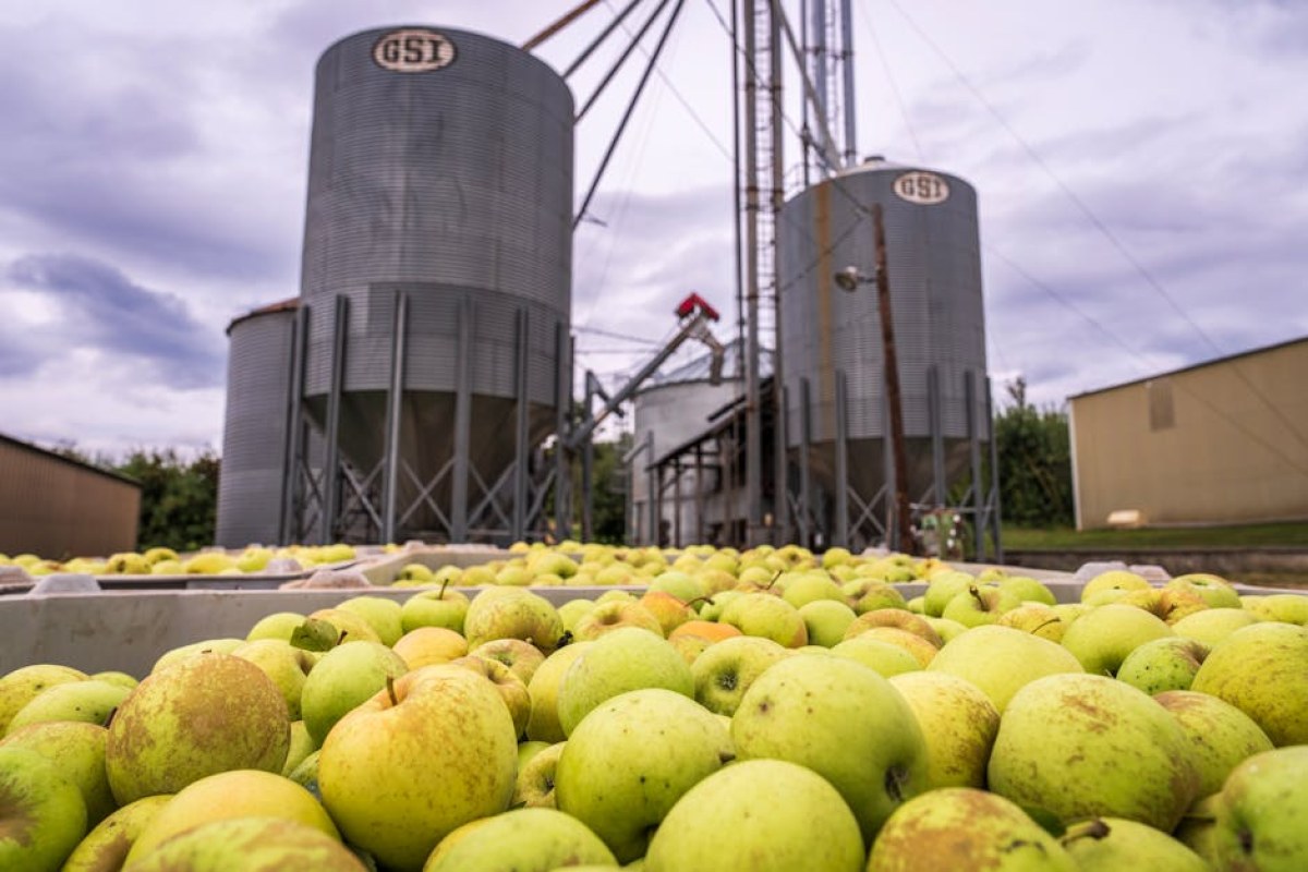 apple storage