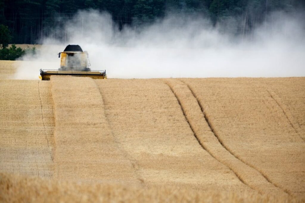 combine harvester field
