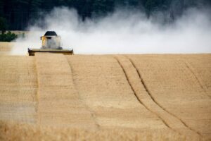 combine harvester field