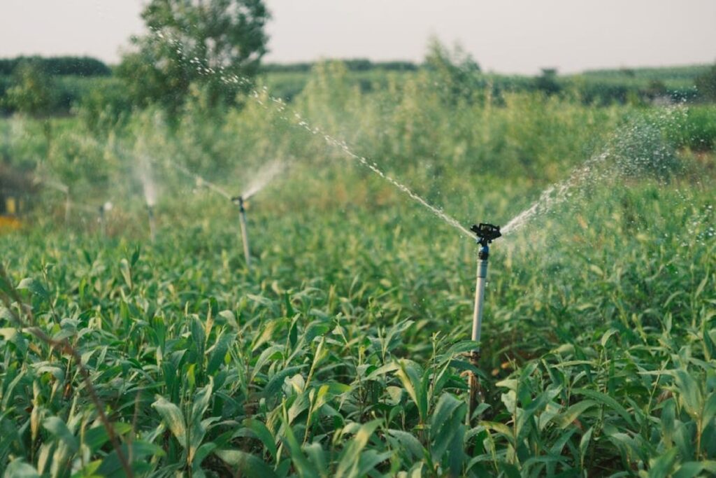 irrigation sprinkler