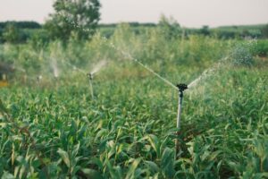 irrigation sprinkler