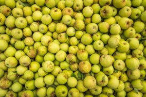 apples export