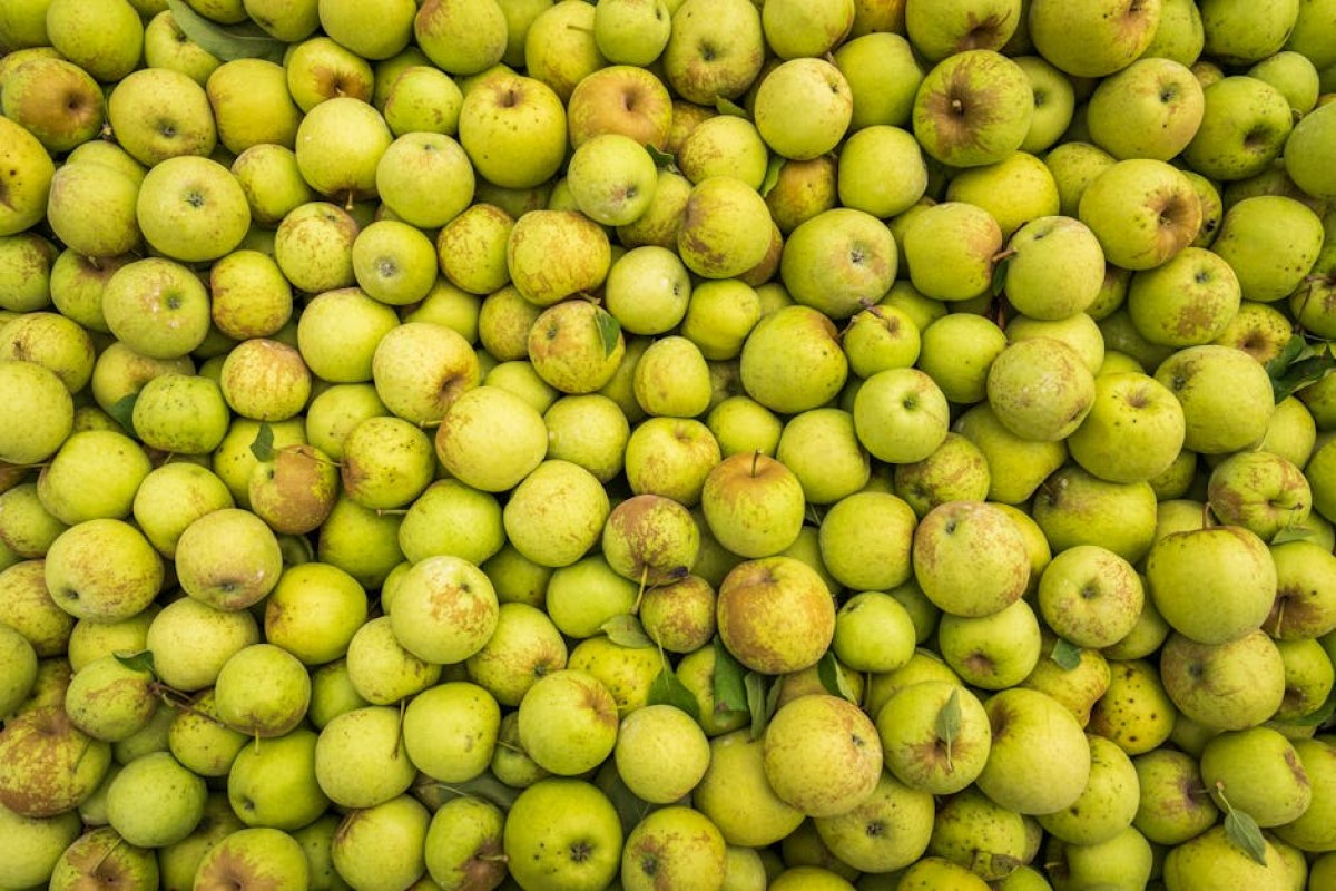 apples export