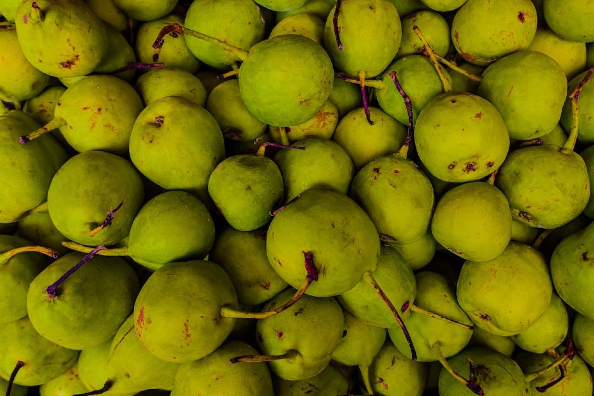 pear export