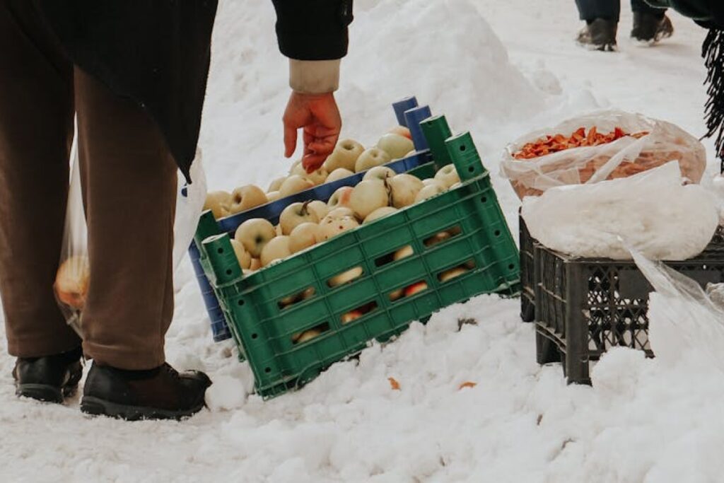 apples cold storage