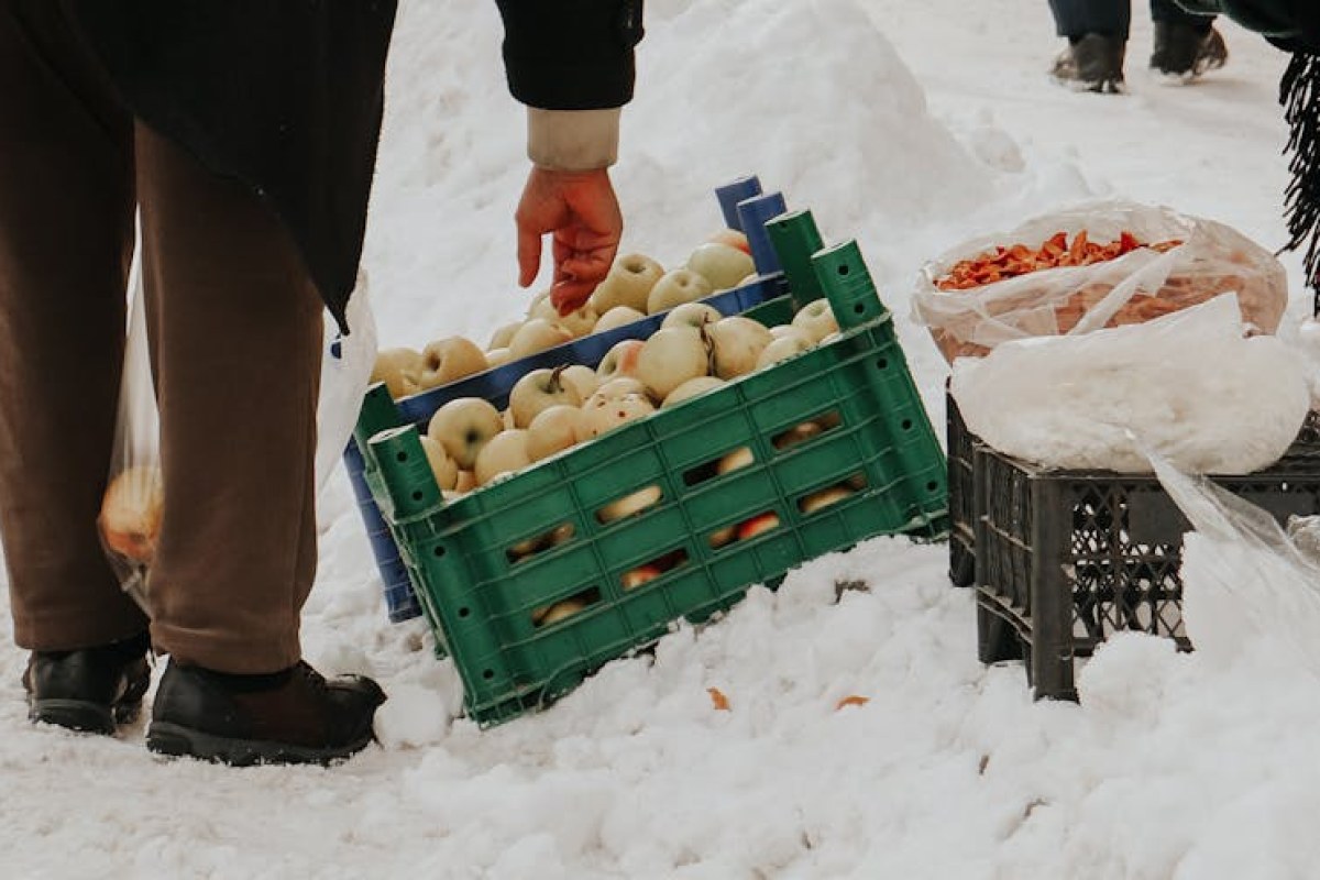 apples cold storage