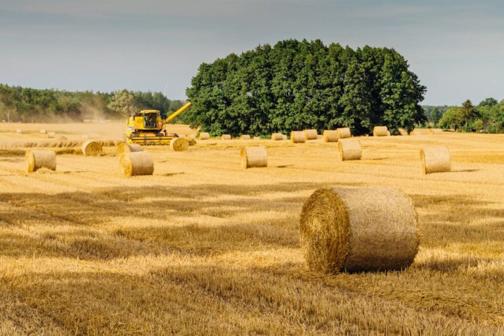 agriculture insurance
