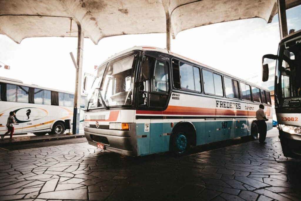 bus cargo transport