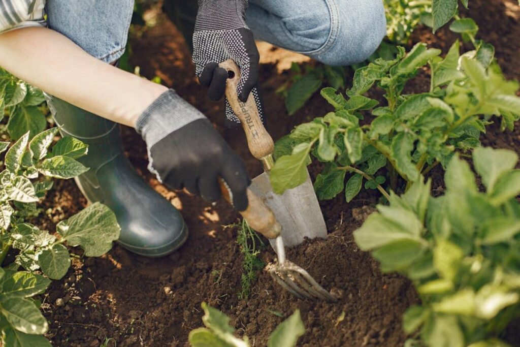 hand weeder