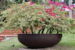 fertilizer tank planter