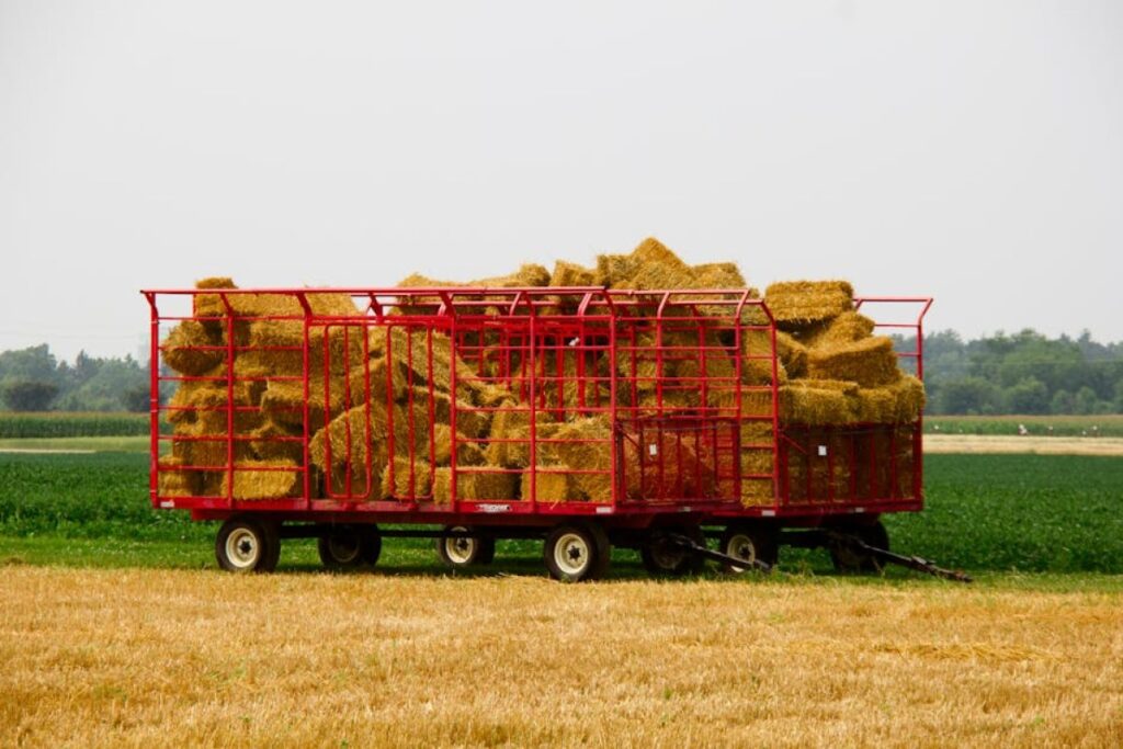 forage wagon