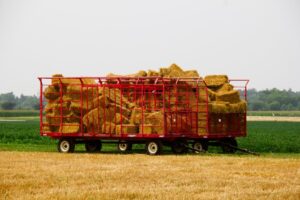 forage wagon