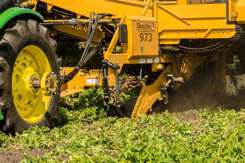 potato harvester