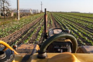 tractor agricultural field