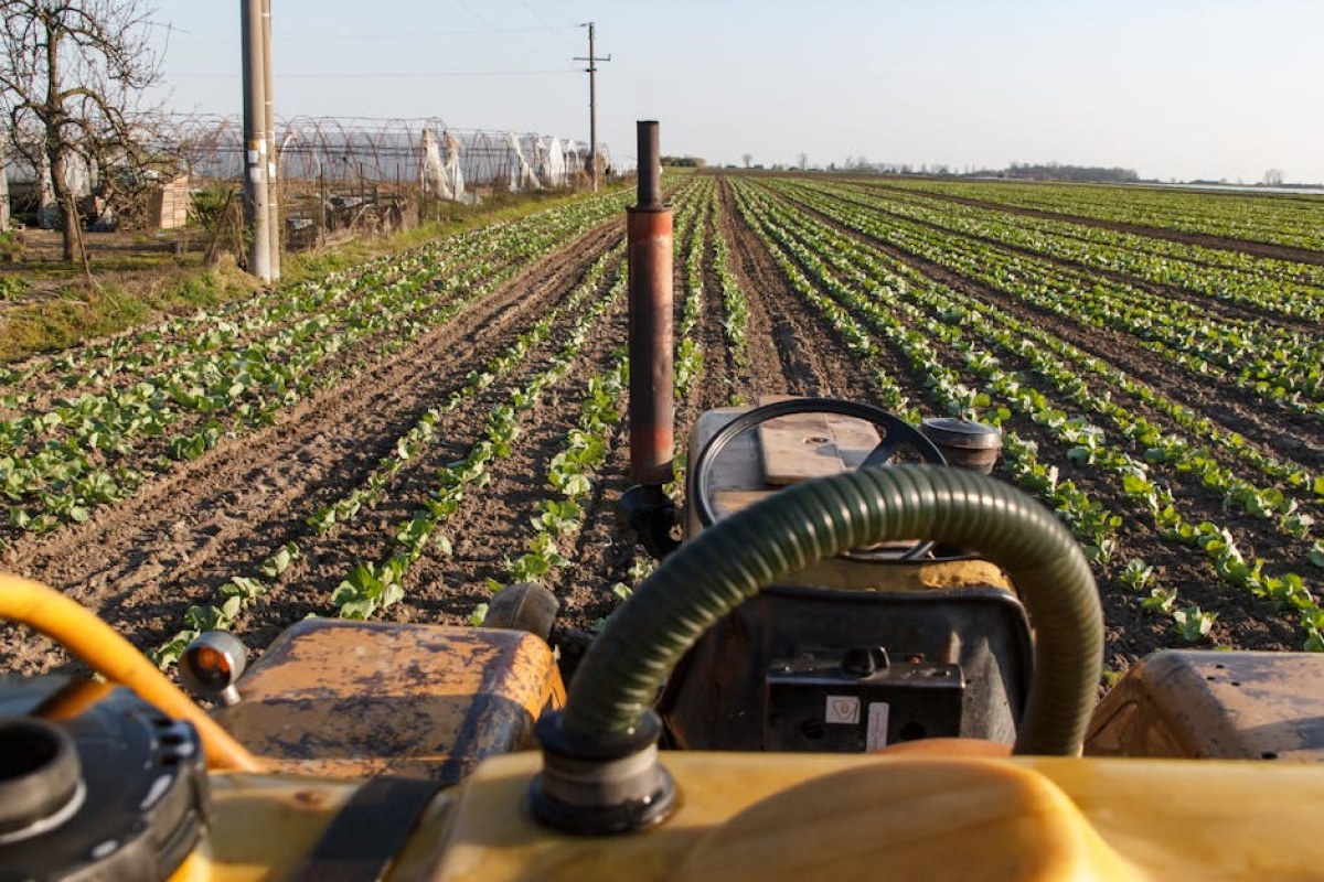 tractor agricultural field