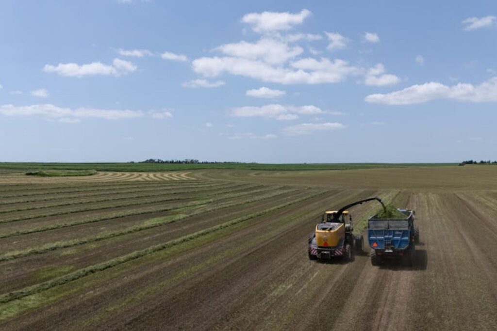 Fella SD125 silage cutter