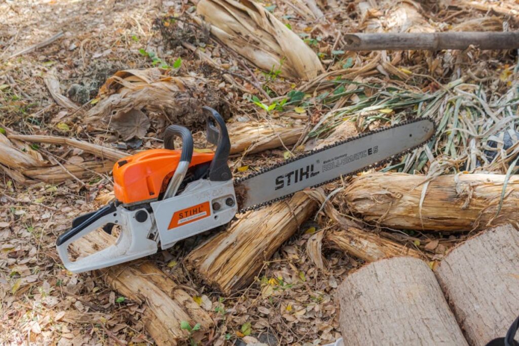 chainsaw for sale