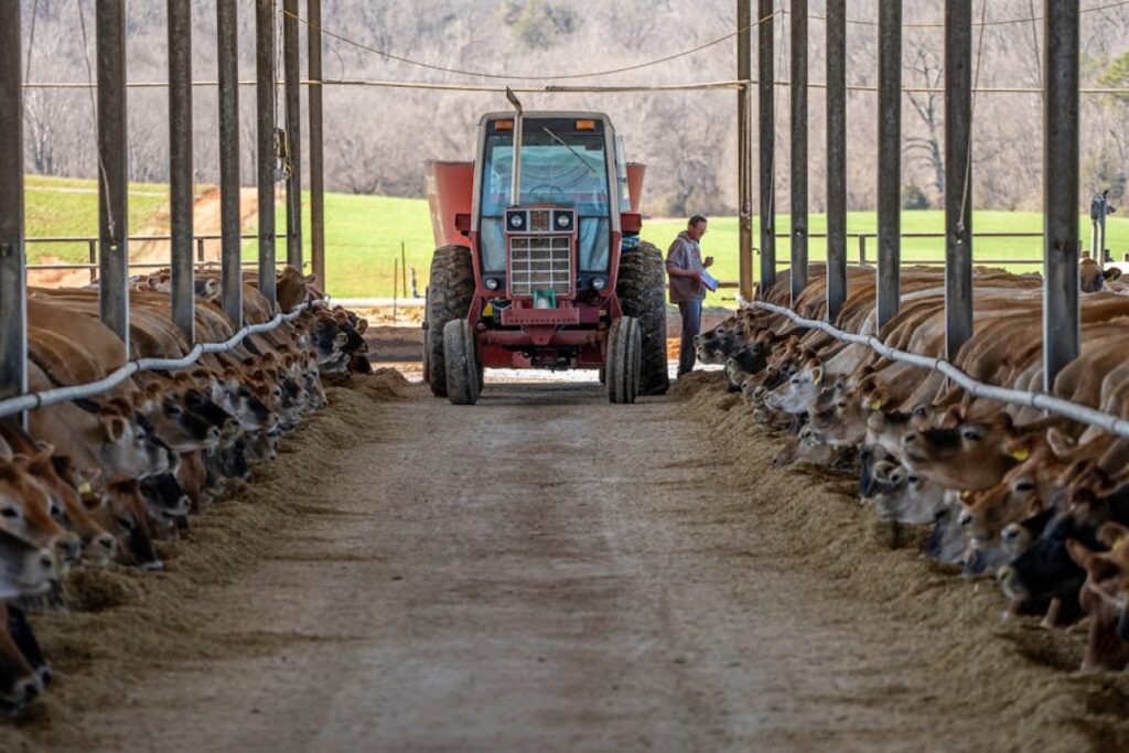 agricultural feed mixer