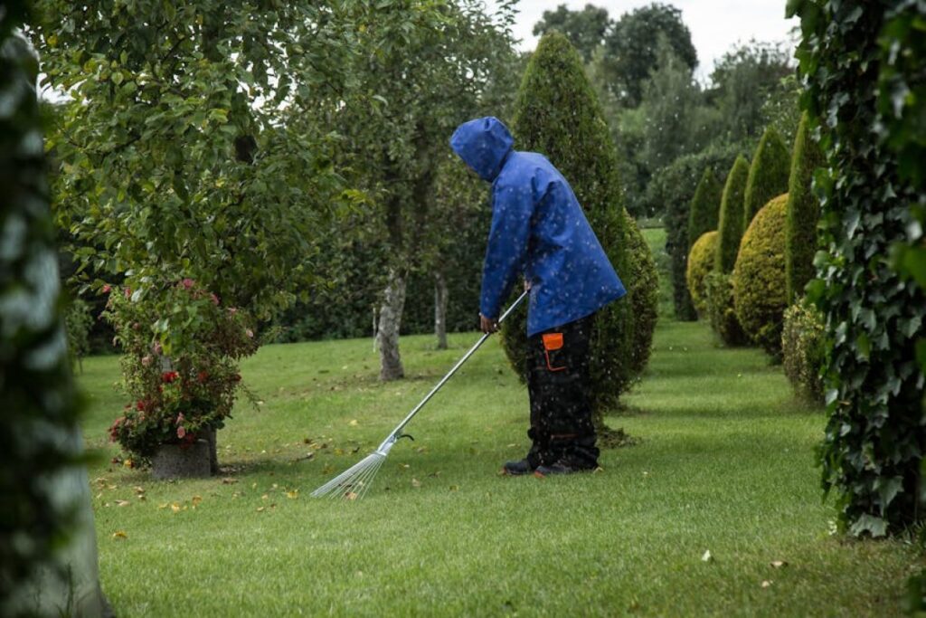 SIP STAR 360 rake