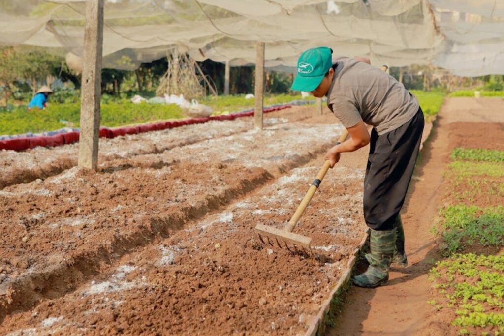 agricultural rake