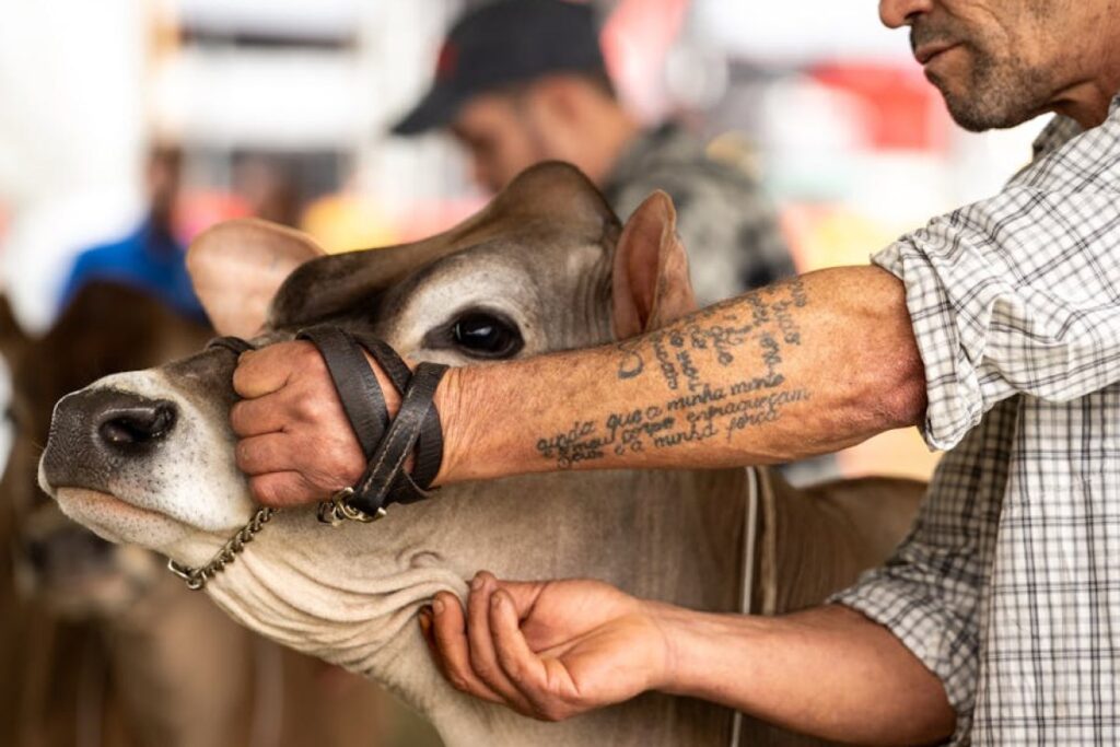 agricultural fair