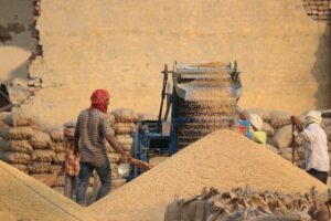 grain crusher machine